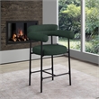 Meridian Furniture Blake Green Boucle Fabric Counter Stool (Set of 2)