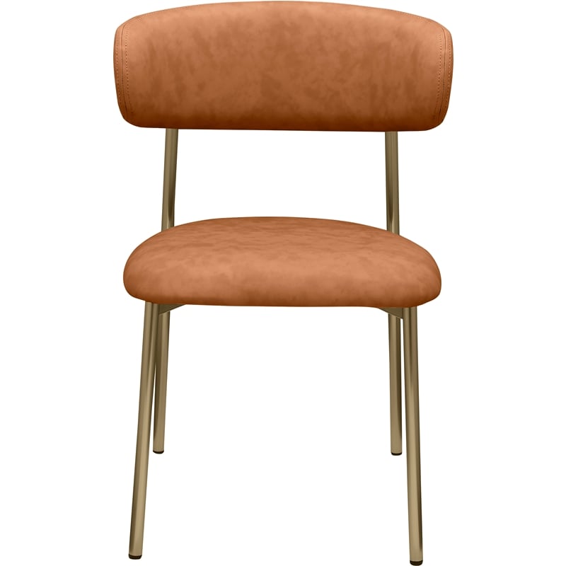 Meridian Furniture Lupita Cognac Vegan Leather Dining Chair (Set of 2)