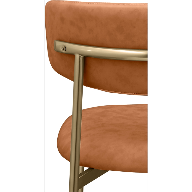 Meridian Furniture Lupita Cognac Vegan Leather Dining Chair (Set of 2)