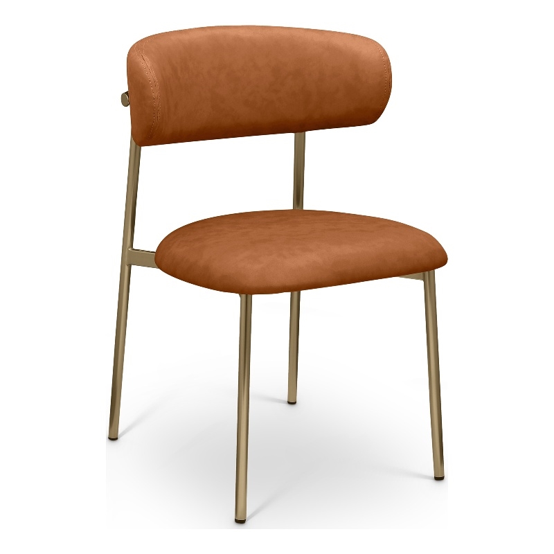 Meridian Furniture Lupita Cognac Vegan Leather Dining Chair (Set of 2)