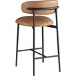 Meridian Furniture Lupita Cognac Vegan Leather Counter Stool (Set of 2)