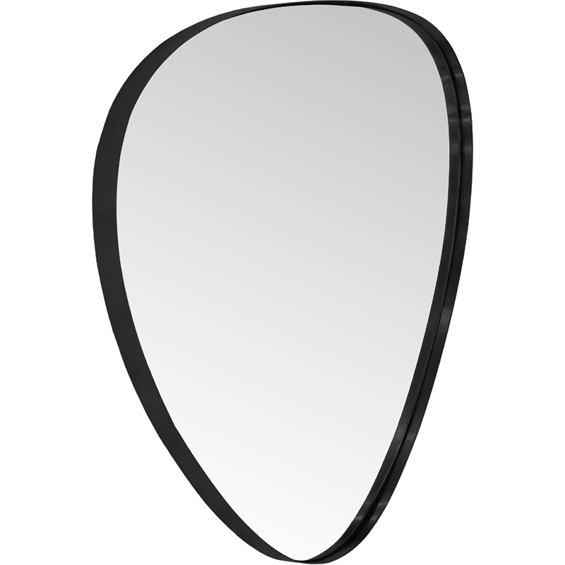 Meridian Furniture Finch Matte Black Iron Metal Frame Mirror