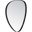 Meridian Furniture Finch Matte Black Iron Metal Frame Mirror
