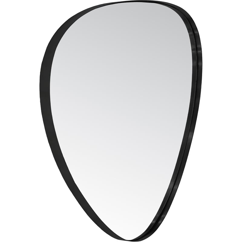 Meridian Furniture Finch Matte Black Iron Metal Frame Mirror