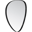 Meridian Furniture Finch Matte Black Iron Metal Frame Mirror