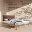 Meridian Furniture Asher Cognac Vegan Leather Queen Bed