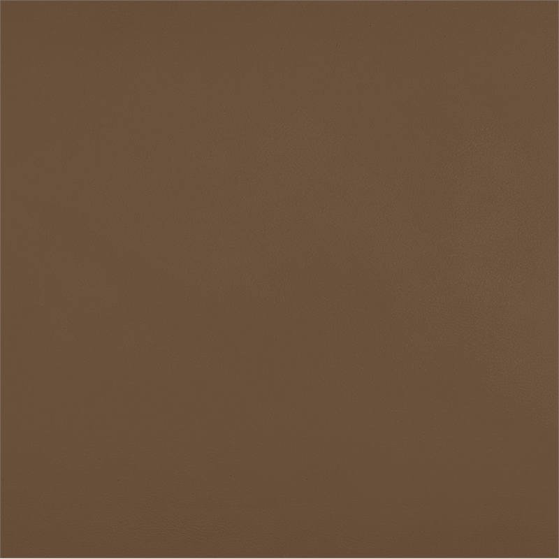 Meridian Furniture Rumble Brown Vegan Leather Bench