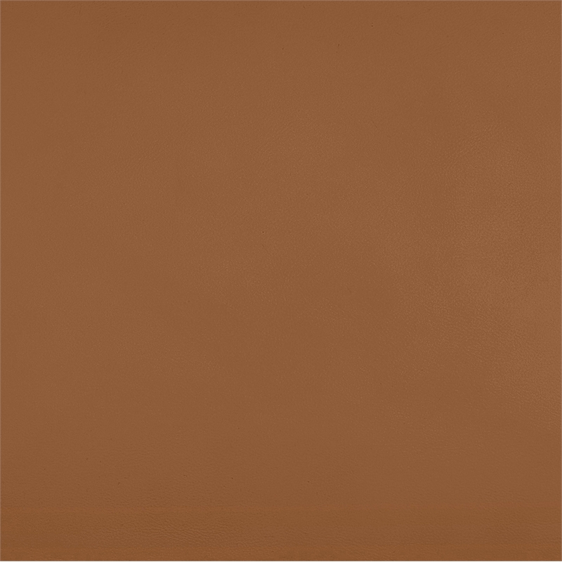 Meridian Furniture Rumble Cognac Vegan Leather Bench