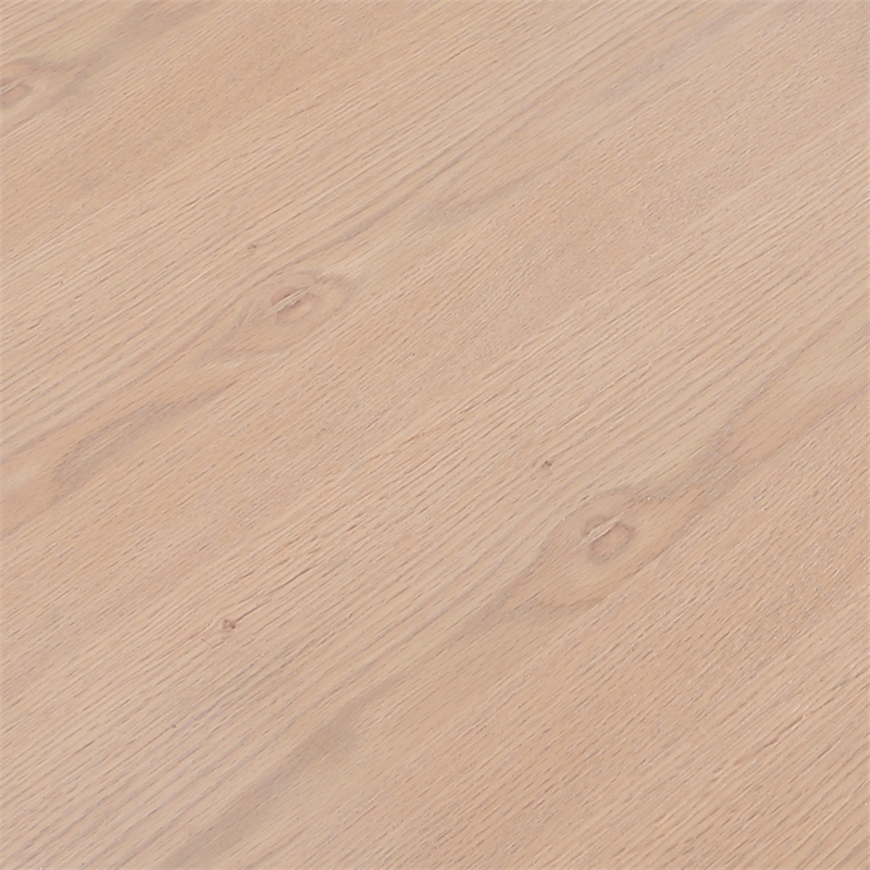 Meridian Furniture Spencer Natural Oak Veneer Coffee Table