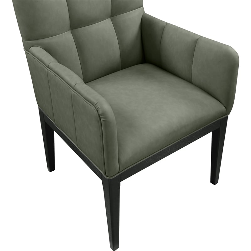 Meridian Furniture Adrian Green Vegan Leather Dining Arm Chair (Set of 2)