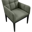 Meridian Furniture Adrian Green Vegan Leather Dining Arm Chair (Set of 2)