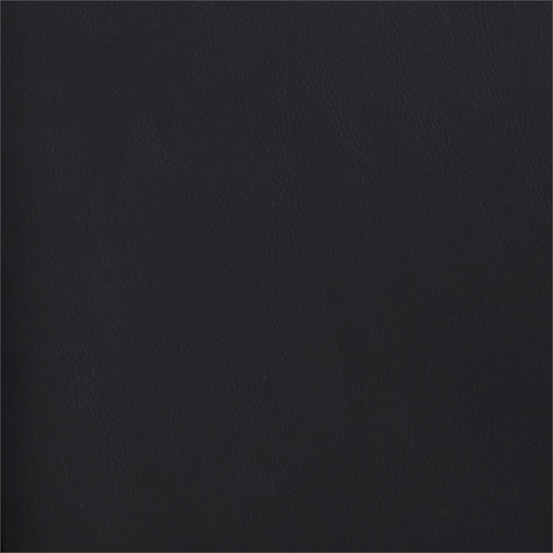 Meridian Furniture Adrian Black Vegan Leather Dining Side Chair (Set of 2)