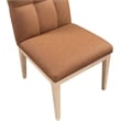 Meridian Furniture Adrian Cognac Vegan Leather Dining Side Chair (Set of 2)