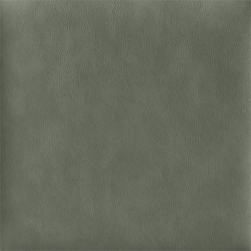 Meridian Furniture Adrian Green Vegan Leather Dining Side Chair (Set of 2)