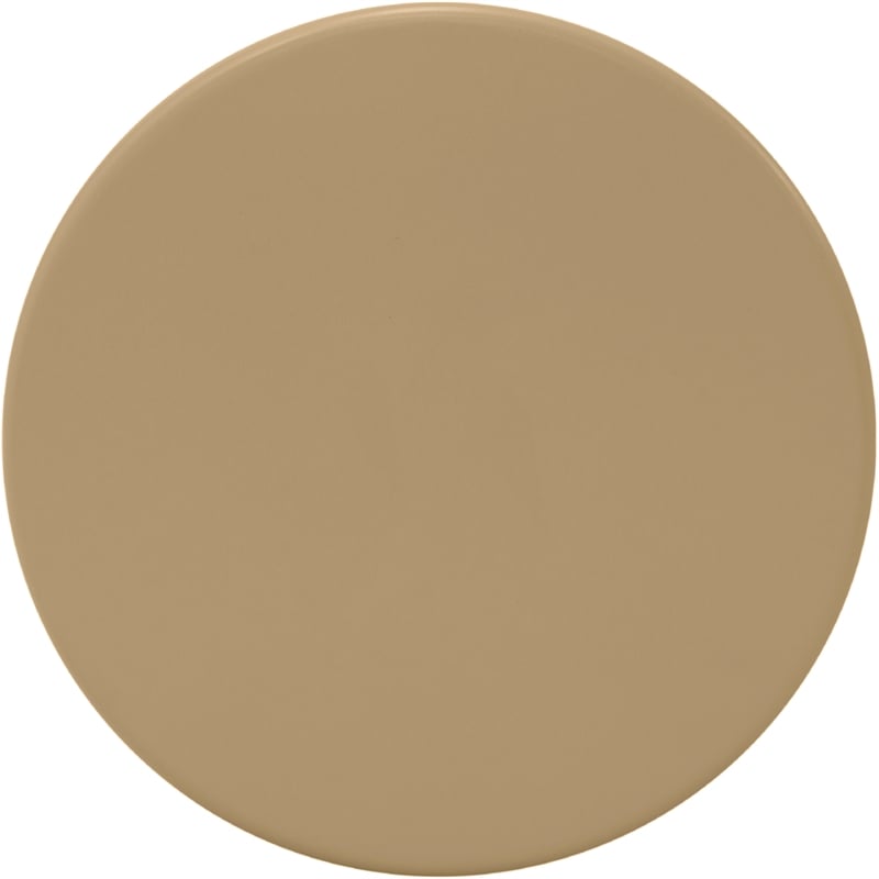 Meridian Furniture Anika Brown Iron Side Table