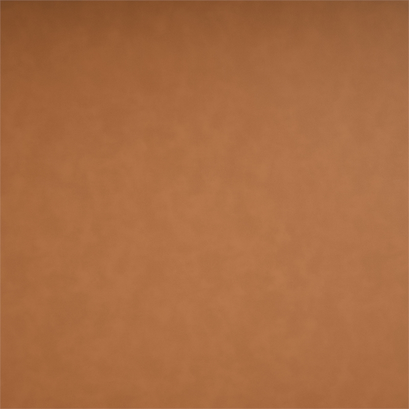 Meridian Furniture Everett Cognac Vegan Leather Upholstered Loveseat