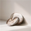 Meridian Furniture Knot Beige Marble Decorative Knot