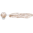 Meridian Furniture Arezzo Beige Marble Tray