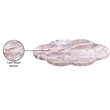 Meridian Furniture Rimini Beige Clover Shaped Marble Tray