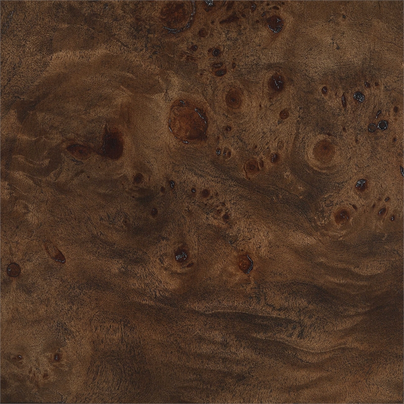 Meridian Furniture Vassa Brown Burl Veneer End Table
