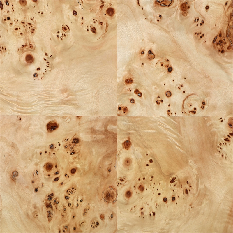 Meridian Furniture Vassa Natural Burl Veneer Coffee Table