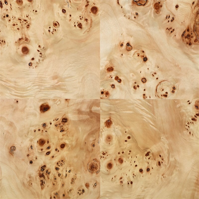 Meridian Furniture Vassa Natural Burl Veneer End Table