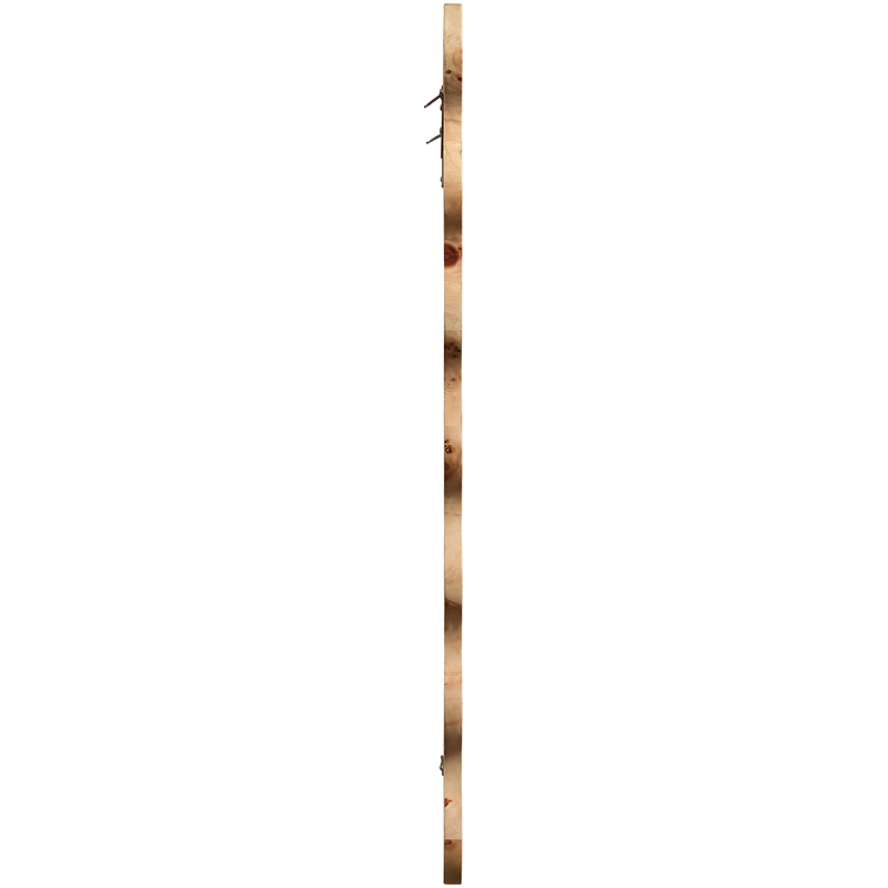 Meridian Furniture Vassa Natural Burl Veneer Mirror