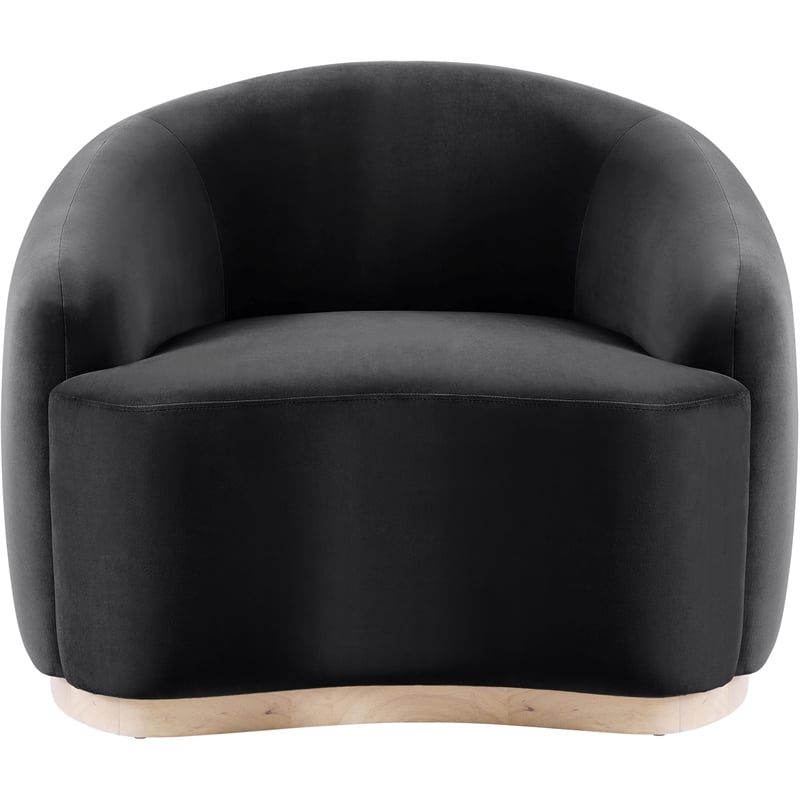 Meridian Furniture Gustavo Black Velvet Upholstered Chair