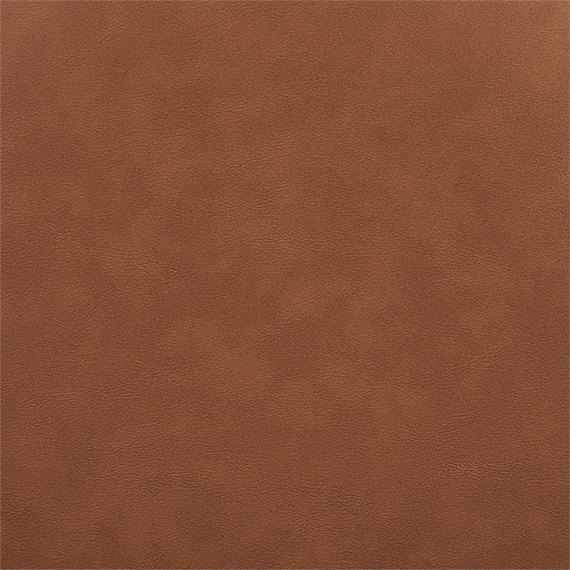 Meridian Furniture Riccio Cognac Vegan Leather Dining Side Chair (Set of 2)
