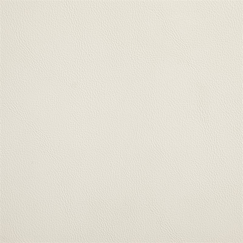 Meridian Furniture Riccio Cream Vegan Leather Dining Side Chair (Set of 2)