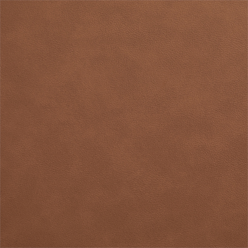 Meridian Furniture Riccio Cognac Vegan Leather Dining Arm Chair (Set of 2)