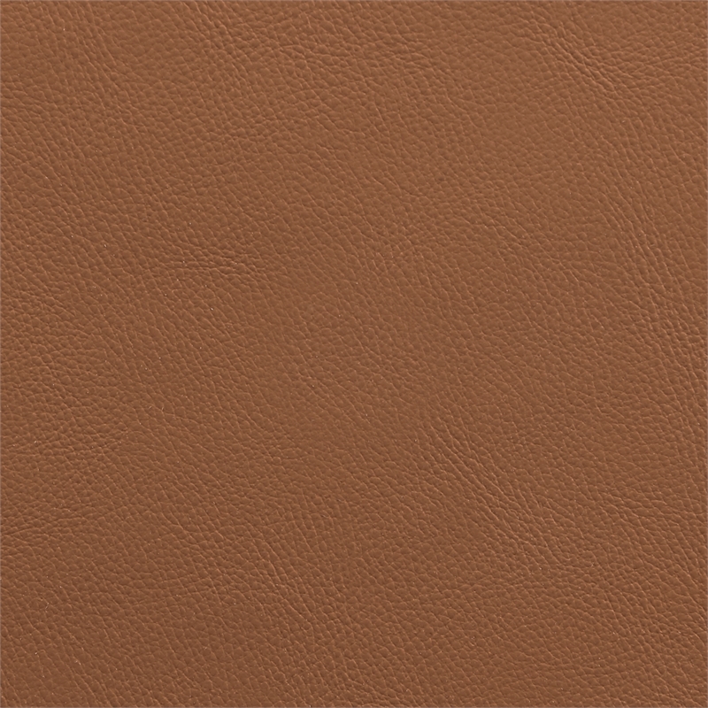 Meridian Furniture Riccio Cognac Vegan Leather Dining Side Chair (Set of 2)