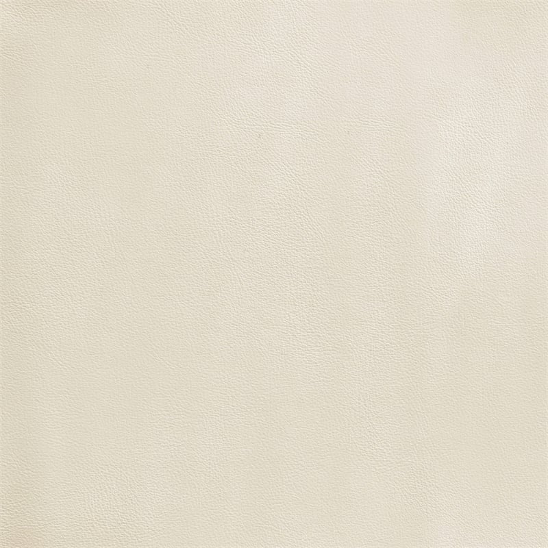 Meridian Furniture Riccio Cream Vegan Leather Dining Side Chair (Set of 2)