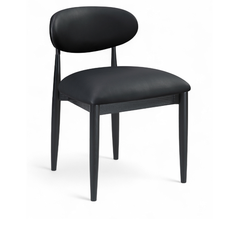 Meridian Furniture Riccio Black Vegan Leather Dining Side Chair (Set of 2)