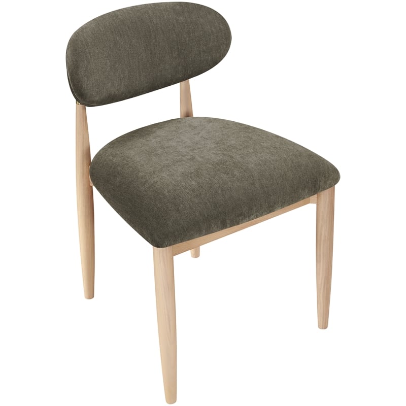 Meridian Furniture Riccio Brown Performance Fabric Dining Side Chair (Set of 2)