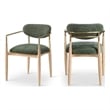 Meridian Furniture Riccio Olive Performance Fabric Dining Arm Chair (Set of 2)