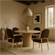 Meridian Furniture Varinelle Brown Velvet Upholstered Dining Chair (Set of 2)