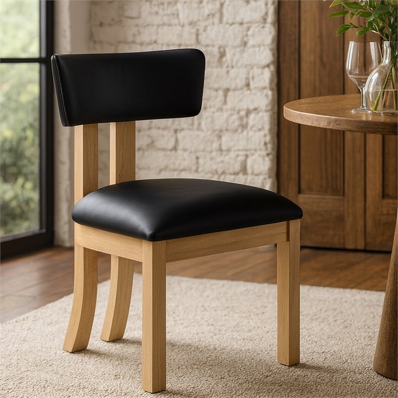 Meridian Furniture Lavrin Black Vegan Leather Dining Side Chair (Set of 2)