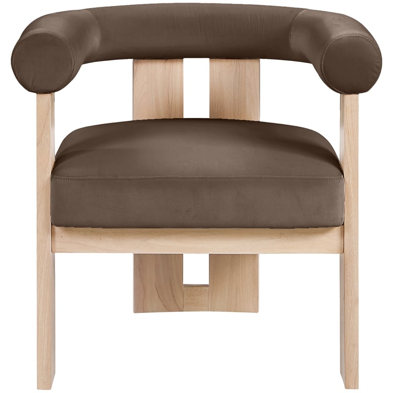 Meridian Furniture Arienzo Brown Velvet Upholstered Accent Chair