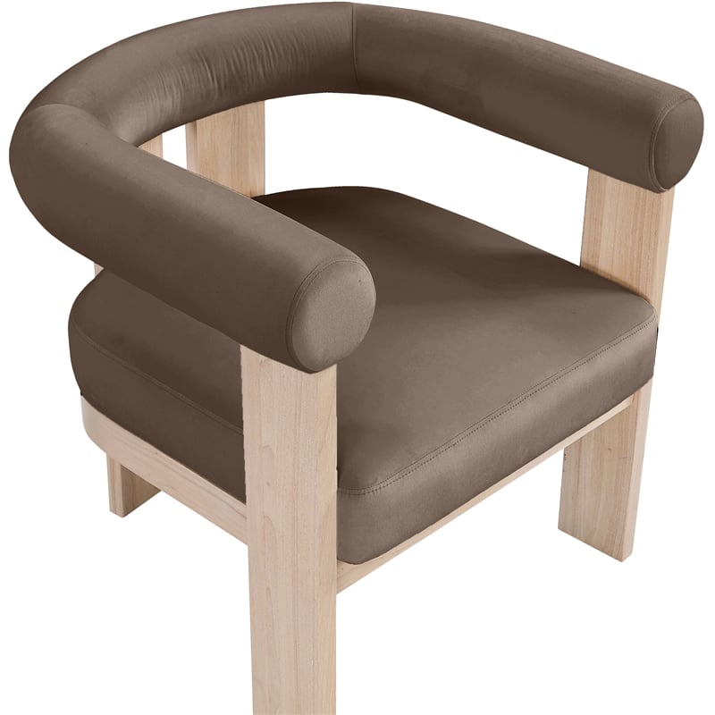 Meridian Furniture Arienzo Brown Velvet Upholstered Accent Chair