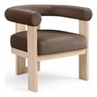 Meridian Furniture Arienzo Brown Velvet Upholstered Accent Chair