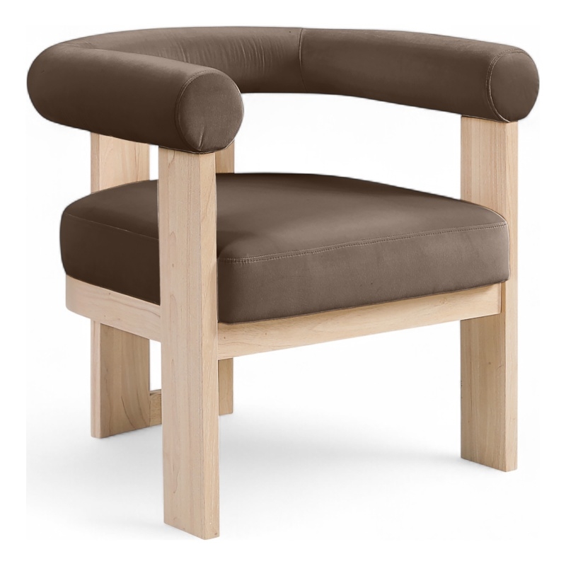 Meridian Furniture Arienzo Brown Velvet Upholstered Accent Chair