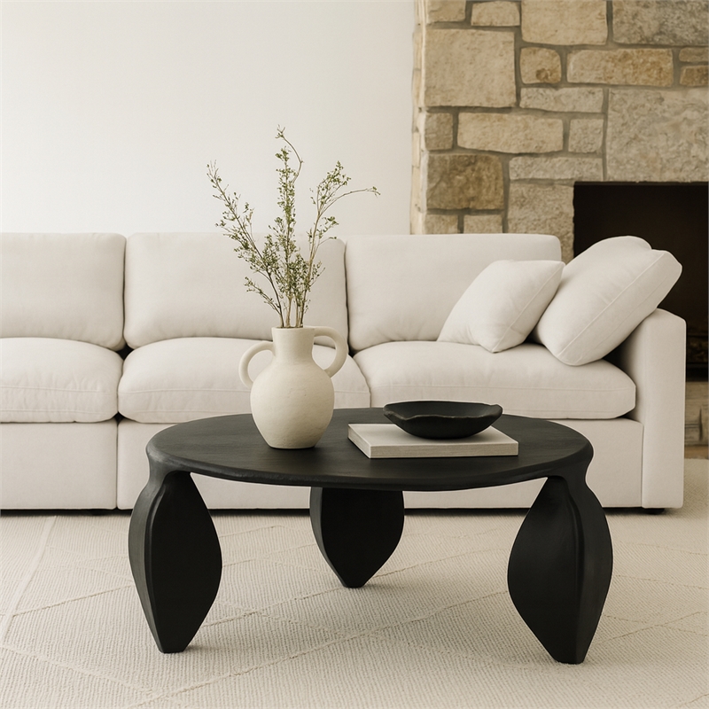 Meridian Furniture Pueblo Black Aluminum Coffee Table