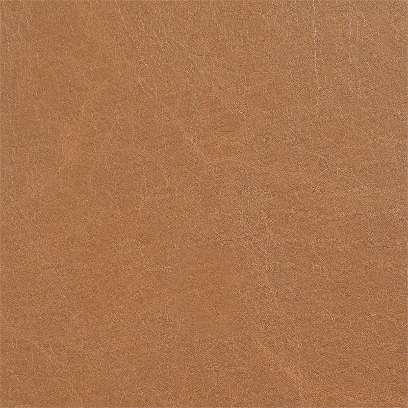 Meridian Furniture Andie Cognac Vegan Leather Dining Chair (Set of 2)