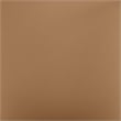 Meridian Furniture Virella Cognac Vegan Leather Dining Chair (Set of 2)