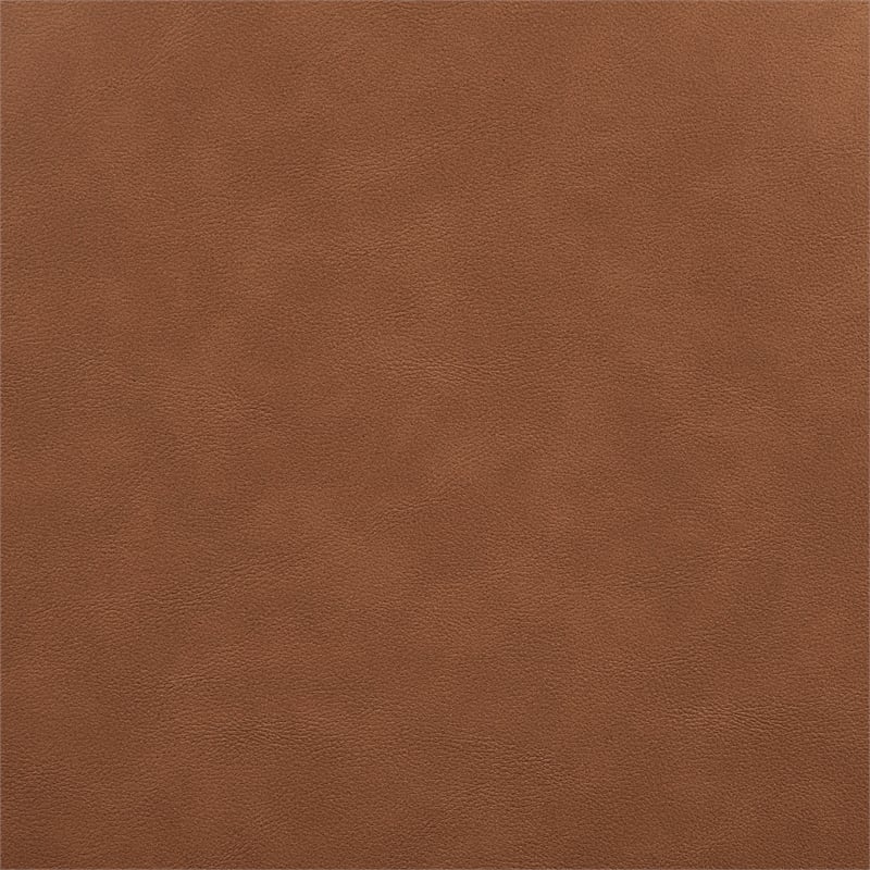 Meridian Furniture Atrium Cognac Vegan Leather Dining Chair (Set of 2)