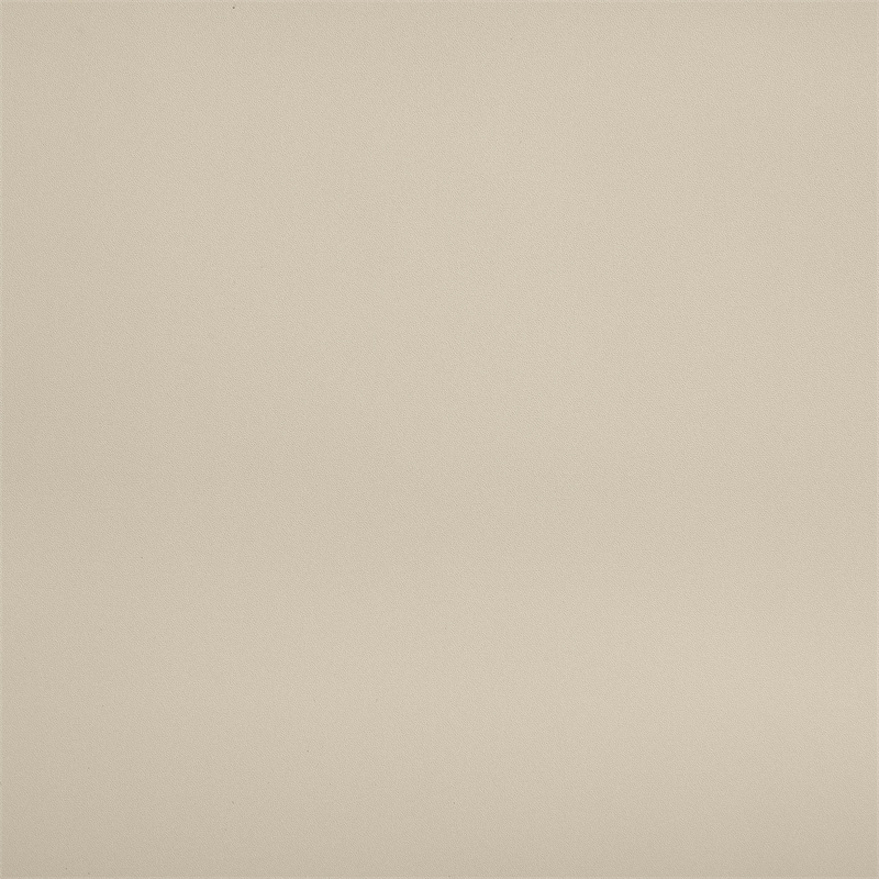 Meridian Furniture Santos Beige Vegan Leather Dining Chair (Set of 2)
