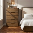 Meridian Furniture Tiberio Brown Oak Veneer And Solid Wood Chest
