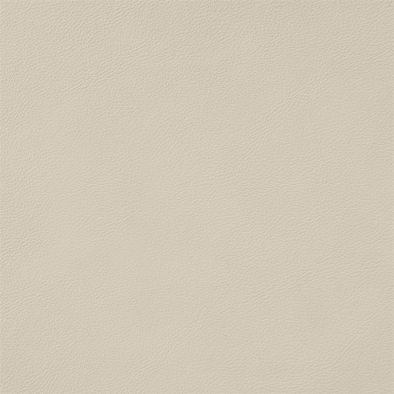 Meridian Furniture Aurum Beige Vegan Leather Dining Chair (Set of 2)