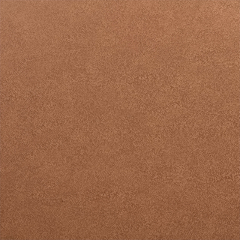 Meridian Furniture Sable Cognac Vegan Leather Dining Chair (Set of 2)